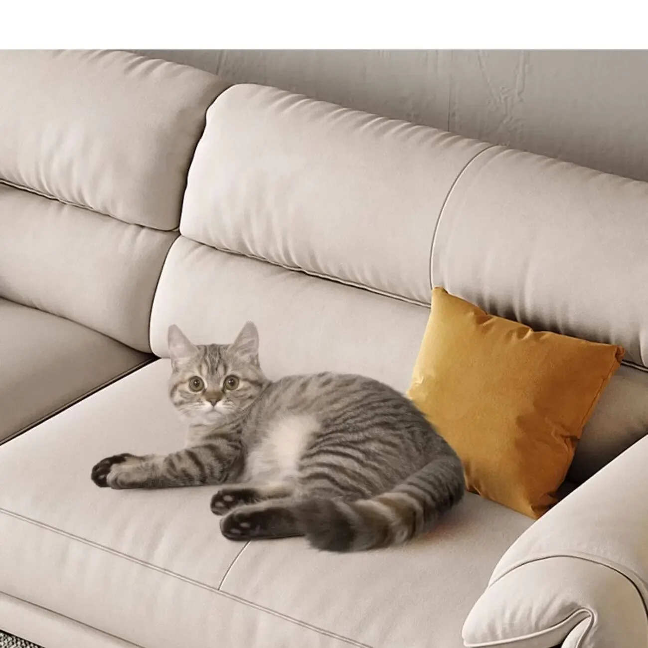 主图-03 Globe Sofa - Minimalist Compact Apartment Trendy Down-Filled Tech Fabric Sofa